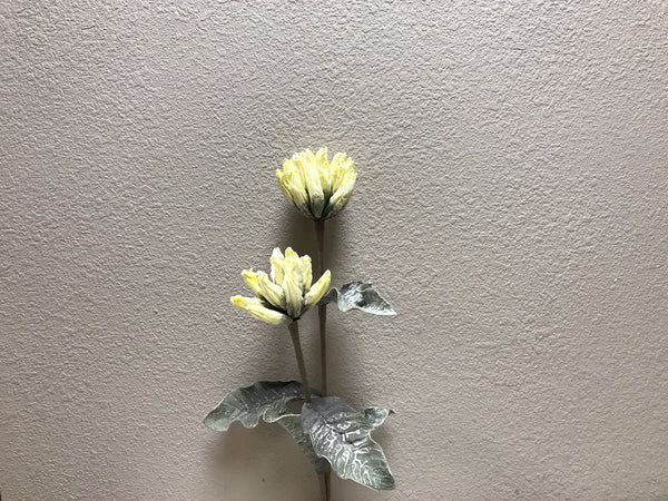 FOAM BUD CLUSTER 39" (CREAM)