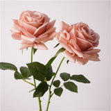 26"-Elegant Real Touch rose-Blush Taupe-Romantic Blush: Muted Beight