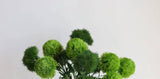 21.5" Realistic Faux Dianthus Green Ball Fresh Green stem: Deep Green