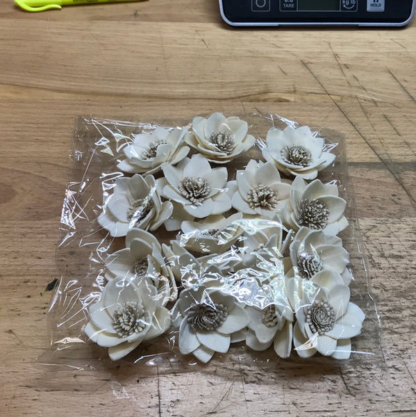 Bag of 16 Dried Rukmani Flowers