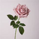 26"-Elegant Real Touch rose-Blush Taupe-Romantic Blush: Muted Beight
