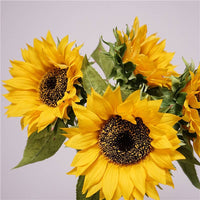 27.5"-Lux Collection-Moisturized Real Touch Sunflower Stem: Fresh Yellow