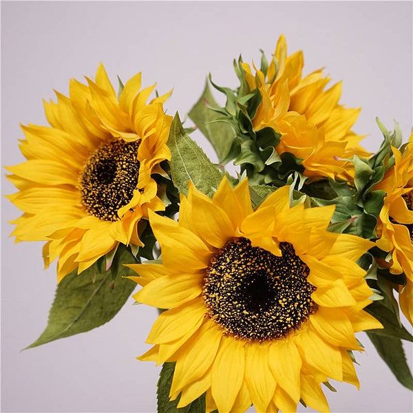 27.5"-Lux Collection-Moisturized Real Touch Sunflower Stem: Fresh Yellow