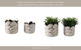 Plant Pot Set of 2 - Ivory/Gold Ceramic Resin Clouds, 6/7 in