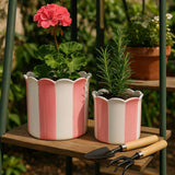 Plant Pot Set of 2 - Pink Ceramic Striped Scallop Edge,6/8in