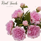 25.5"- Real Touch Peony Stem-2 Blooms: White