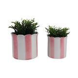 Plant Pot Set of 2 - Pink Ceramic Striped Scallop Edge,6/8in