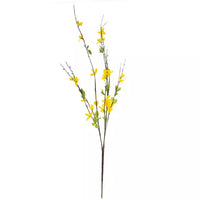 Forsythia Spray