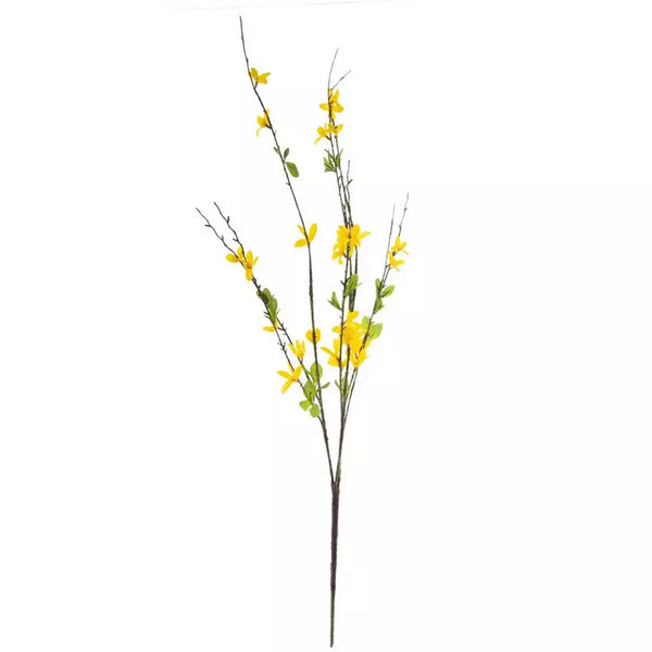 Forsythia Spray