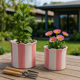 Plant Pot Set of 2 - Pink Ceramic Striped Scallop Edge,6/8in
