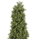 Boxwood Cone Topiary Everlux UV 59 Inch