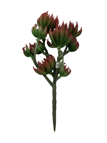 9.5" PLS Branched Succulent Pick with Red Tips
