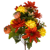 Fall Dahlia/Mum x24 Mixed Bush 22"