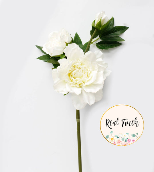 26"-Premium Collection-Real Touch Moisturized Peony Stem: Soft White