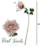 26"-Elegant Real Touch rose-Blush Taupe-Romantic Blush: Muted Beight