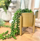 Artificial Hanging String Succulent - 3sprays soft and natural