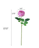 17"Premium Real touch English Austin Cabbage Rose Stem: Light Blue