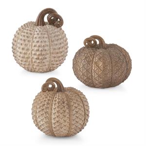 CIRCLE Assorted Resin Beige Textured Pumpkins