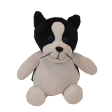 6" Cassidy Cat