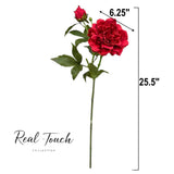25.5"- Real Touch Peony Stem-2 Blooms: White