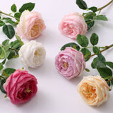 17"Premium Real touch English Austin Cabbage Rose Stem: Light Blue