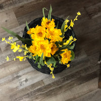 Zinnia and wildflower bush yellow