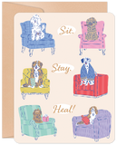 Sit. Stay. Heal! Get Well Card