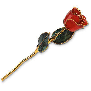 Gold Trimmed Rose in Box