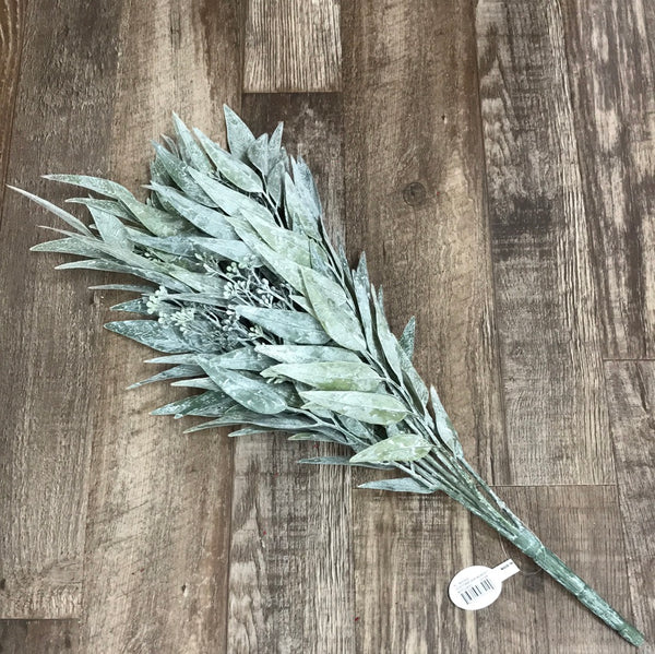 Dusty Bayleaf Bush