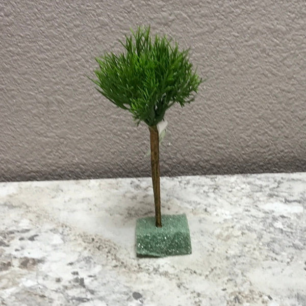 Fern Succulent 7"