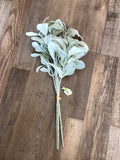 Flocked Lambsear bunch