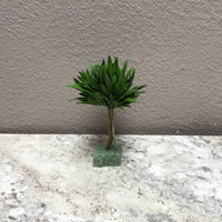 Moss Succulent 7"