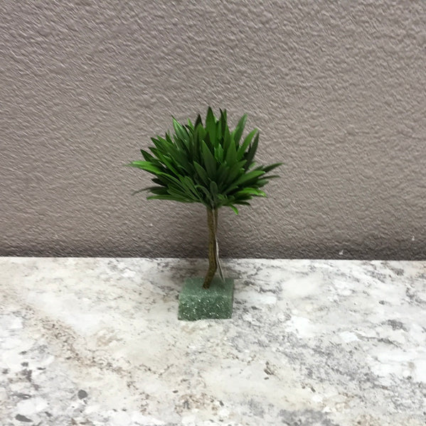 Moss Succulent 7"