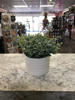 7.25in Eucalyptus in Ribbed White Ceramic Vase Small Leaf