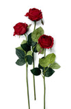 17"-Ultra Realist Real touch Cabbage Rose-Artificial : Elegant Red