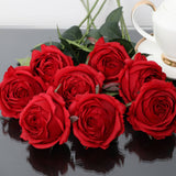 17"-Ultra Realist Real touch Cabbage Rose-Artificial : Off-White