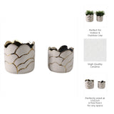 Plant Pot Set of 2 - Ivory/Gold Ceramic Resin Clouds, 6/7 in