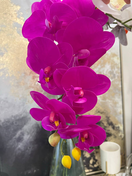 36" Real touch Phalaenopsis Orchid-Large bloom 9 Flowers: Natural Fuchsia