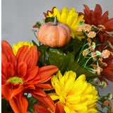 Fall Dahlia/Mum x24 Mixed Bush 22"