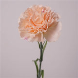 19.5"-Real Touch Needle Petal Modern Look Carnation: Peach Bellini