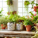 Plant Pot Set of 2 - Ivory/Gold Ceramic Resin Clouds, 6/7 in