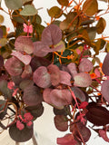 30" Rich Fall Tone Faux Eucalyptus Spray-150 Abundant Leaves: Fall Green