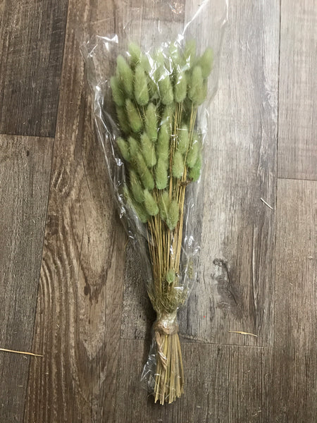 Dried Natural Bunny Tail Grass Bunch