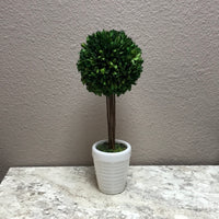 Topiary Tree