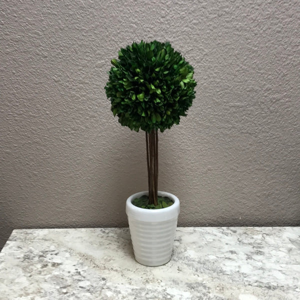Topiary Tree
