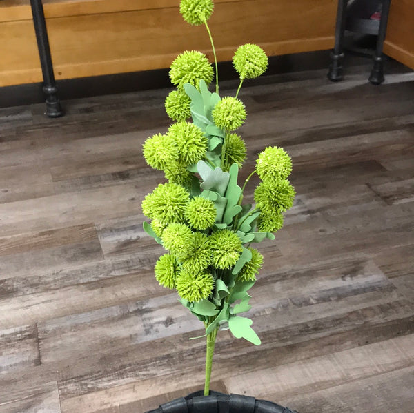Ecinops Bush green