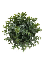 Greenbriar Eucalyptus