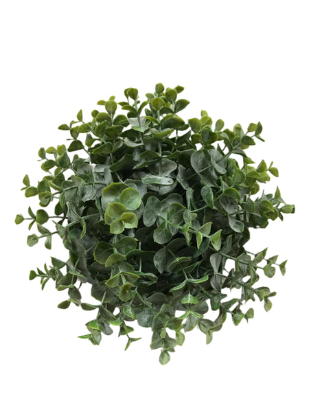 Greenbriar Eucalyptus
