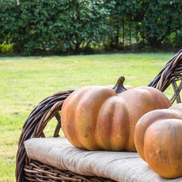 Sweet Baby Pumpkin