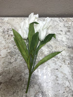 Tulip Bush x 9 20" White